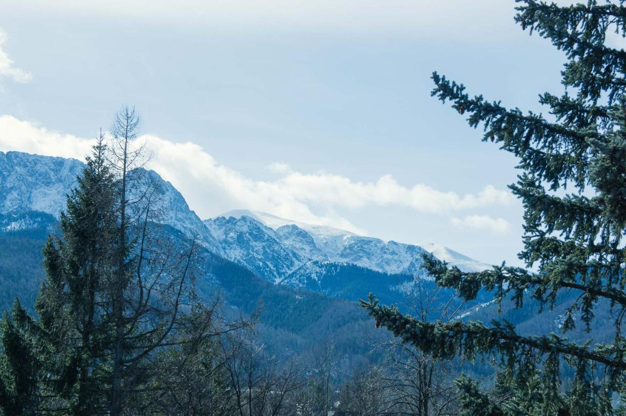 Aparthotel Delta Zakopane Bagian luar foto